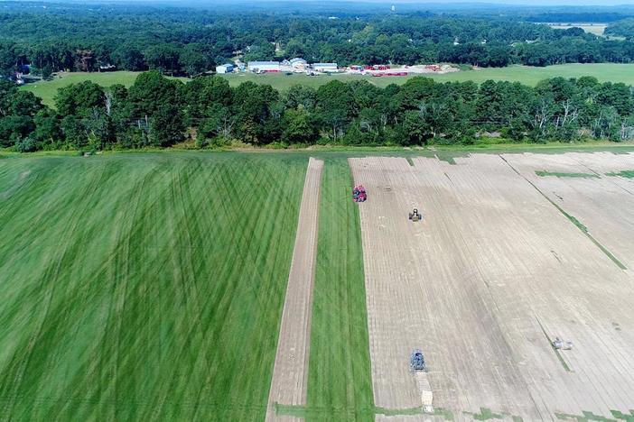 Roger’s Nod to Sod | The Jamestown Net Zero House: asset-mezzanine-16x9