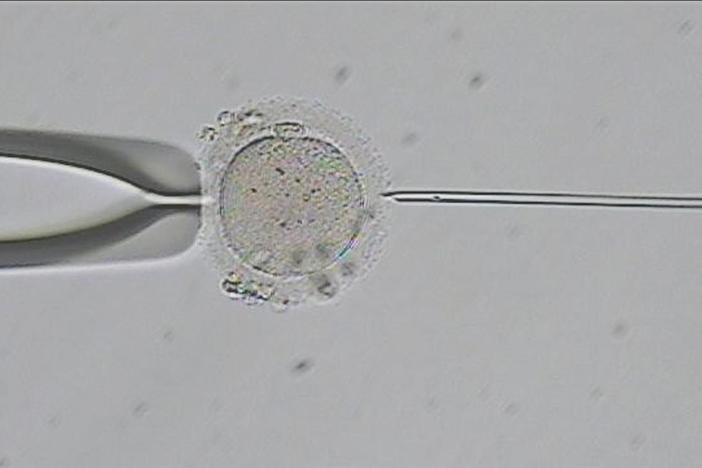 Fighting for Fertility: asset-mezzanine-16x9