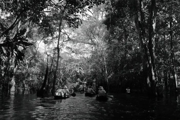 Into the Amazon: asset-mezzanine-16x9