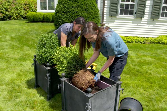Ductless Humidifier, Planters | Ask TOH: asset-mezzanine-16x9