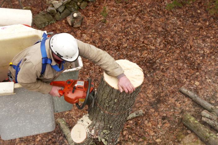 Ask TOH | Tree Removal, Garage Door Opener: asset-mezzanine-16x9