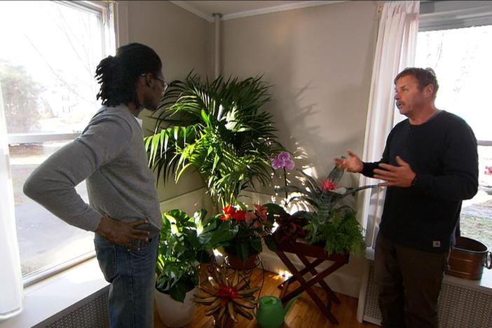 Ask This Old House | Houseplants, US Flag: asset-mezzanine-16x9
