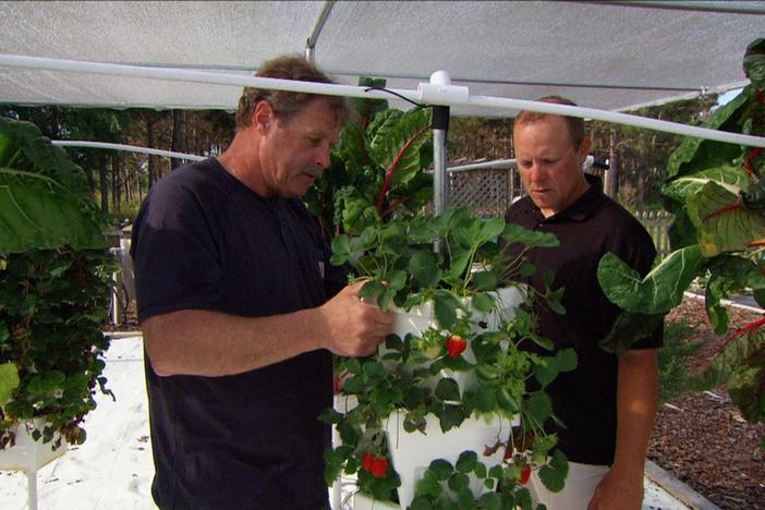 Ask This Old House | Hydroponic Garden, New Spigot: asset-mezzanine-16x9