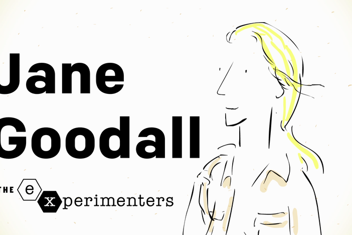 Jane Goodall on Instinct: asset-mezzanine-16x9