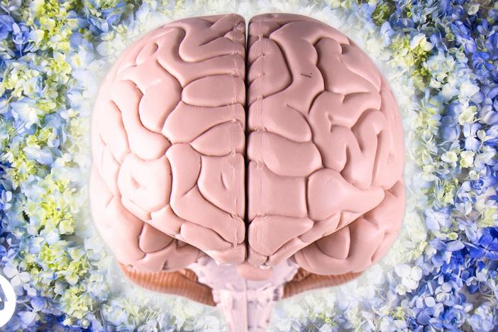 The Neuroscience of Creativity: asset-mezzanine-16x9