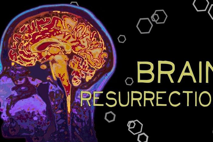 Ways to Bring the Brain Dead ‘Back to Life’: asset-mezzanine-16x9