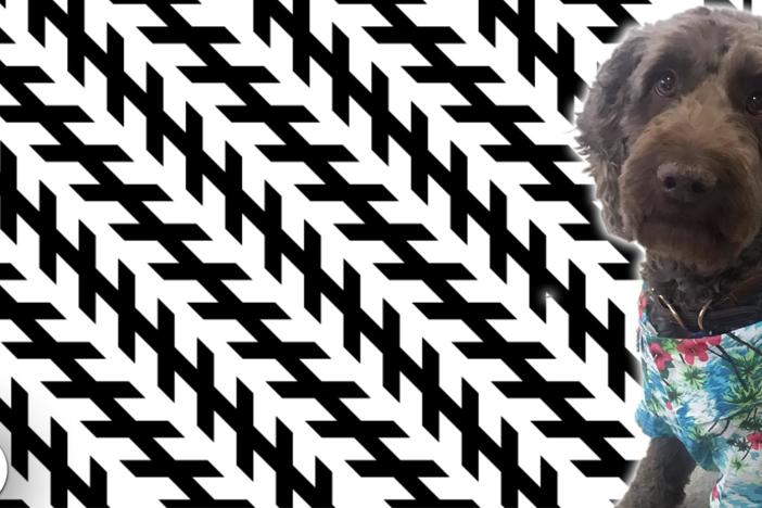 Mind Blowing Illusions That Trick Multiple Senses: asset-mezzanine-16x9