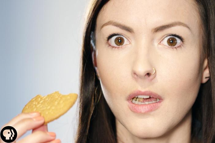 Can You Taste With Your Ears?: asset-mezzanine-16x9