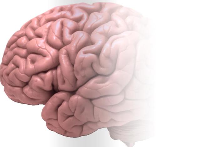 How Good is Your Memory?: asset-mezzanine-16x9