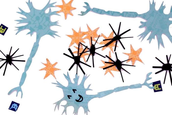 Amazing Brain Cells You've Never Heard of: asset-mezzanine-16x9