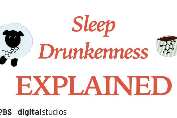 Sleep Drunkenness Explained: asset-mezzanine-16x9