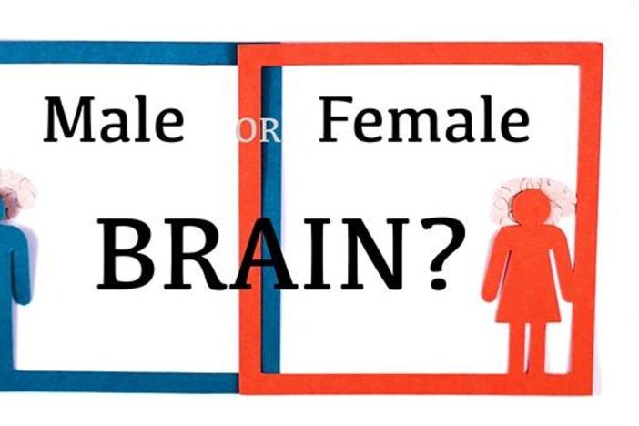 Are Male and Female Brains Different?: asset-mezzanine-16x9