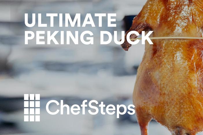 Peking Duck: asset-mezzanine-16x9
