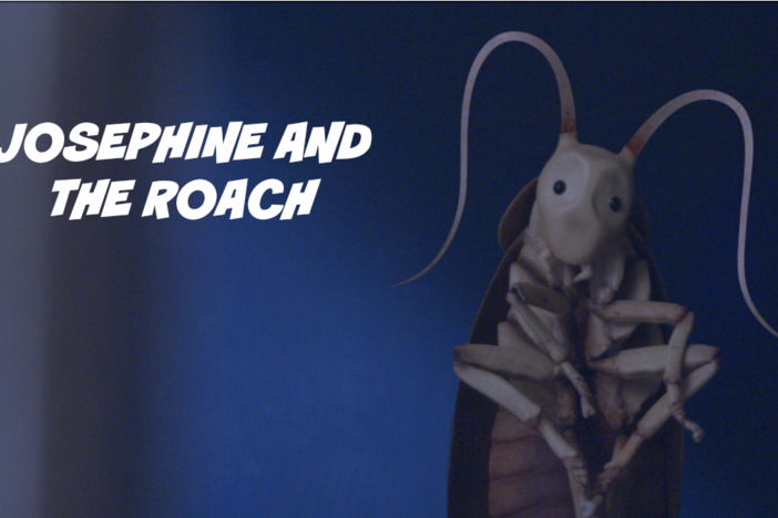 "Josephine and the Roach": asset-mezzanine-16x9