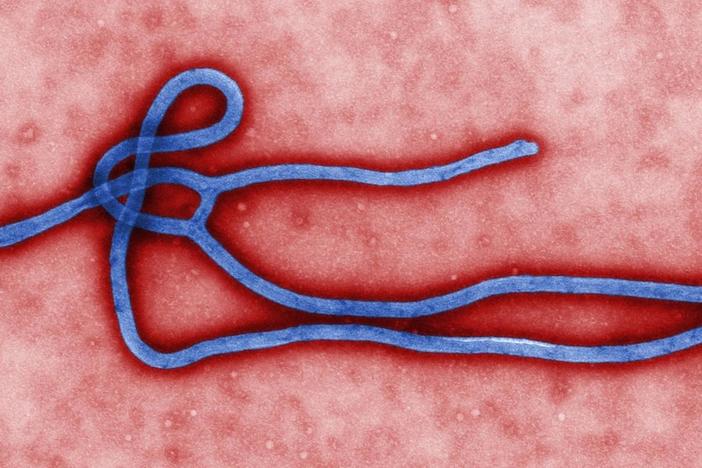Ebola Outbreak/Hunting Boko Haram: asset-mezzanine-16x9
