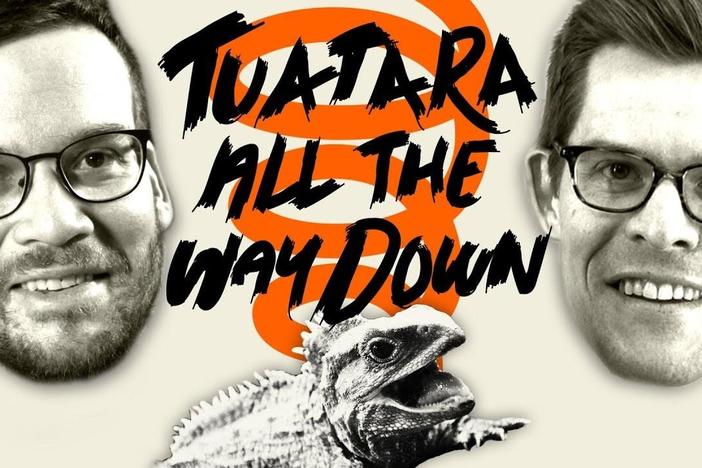 Tuatara All the Way Down: asset-mezzanine-16x9