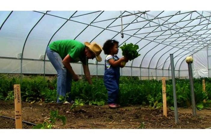 Urban Gardening: asset-mezzanine-16x9