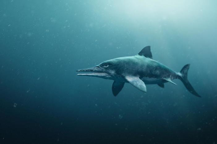Attenborough and the Sea Dragon: asset-mezzanine-16x9