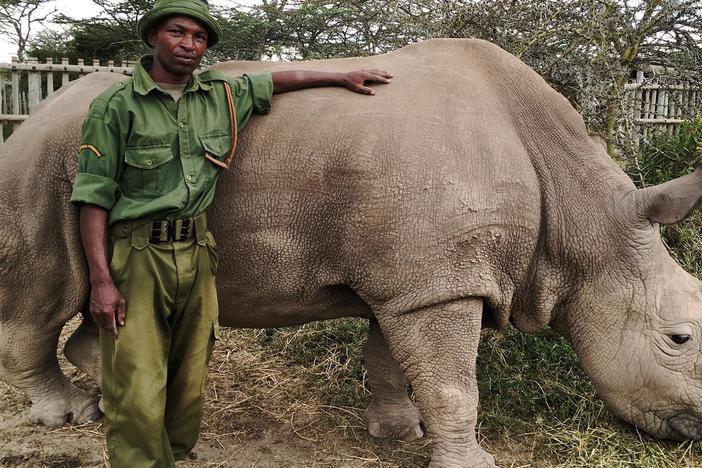 The World's Most Wanted Animal | Georgia Public Broadcasting The World's Most Wanted Animal | Georgia Public Broadcasting