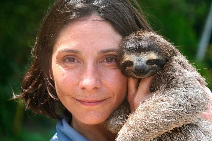 A Sloth Named Velcro: asset-mezzanine-16x9