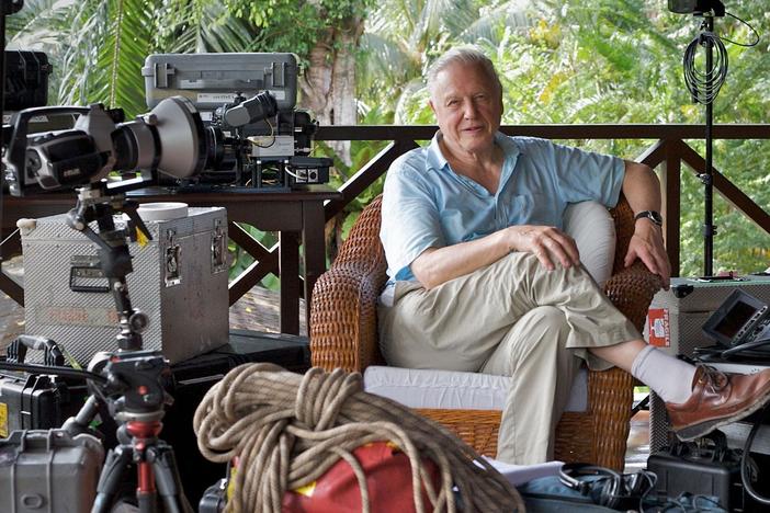 Attenborough's Life Stories: Life on Camera: asset-mezzanine-16x9