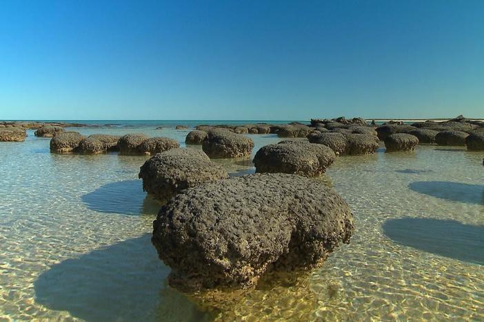 Australia's First 4 Billion Years: Awakening: asset-mezzanine-16x9