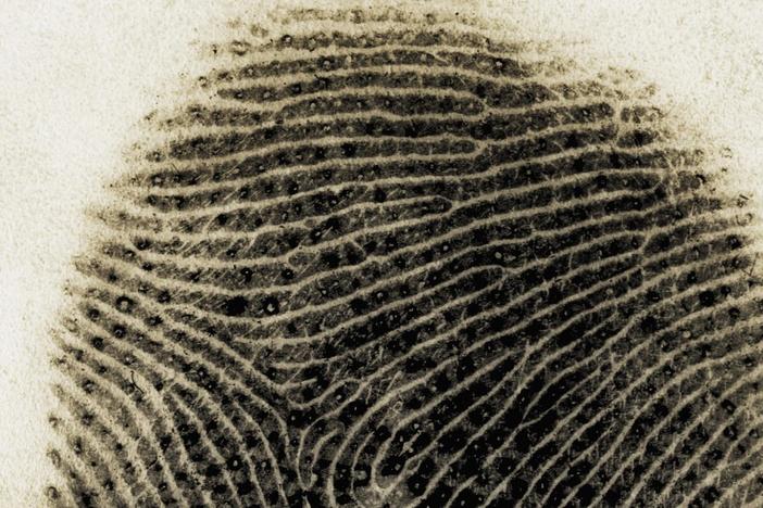 Forensics on Trial : asset-mezzanine-16x9
