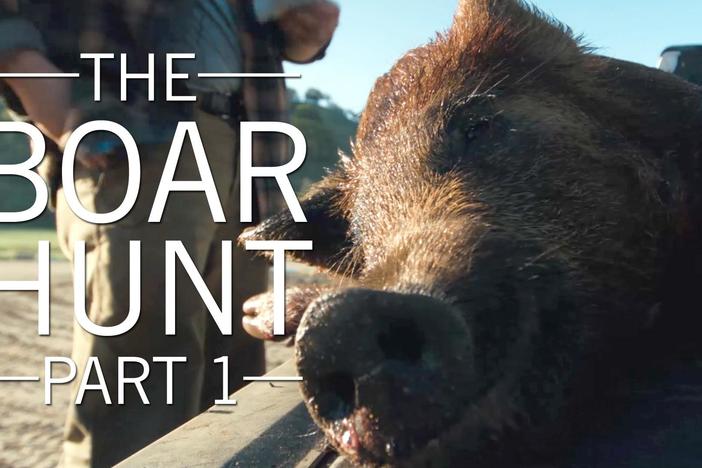 The Boar Hunt, Part 1: asset-mezzanine-16x9