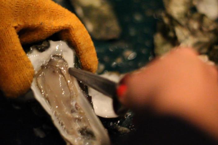 Oyster Roast in Charleston: asset-mezzanine-16x9