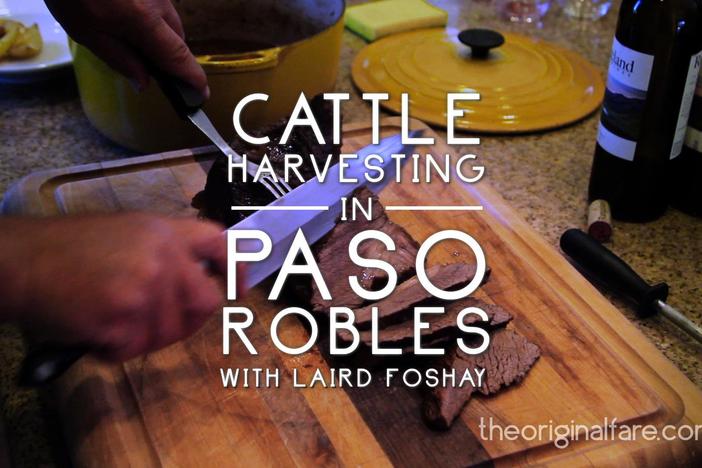Cattle Harvest in Paso Robles: asset-mezzanine-16x9