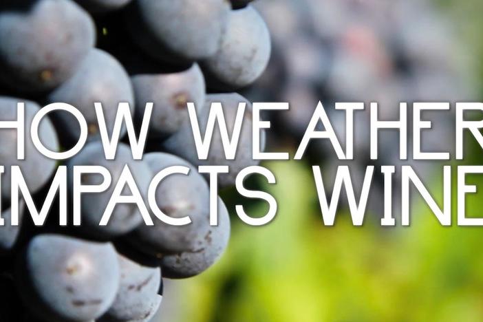 How Weather Impacts Wine: asset-mezzanine-16x9