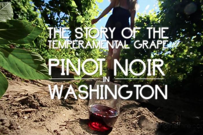 Pinot Noir in Washington: asset-mezzanine-16x9