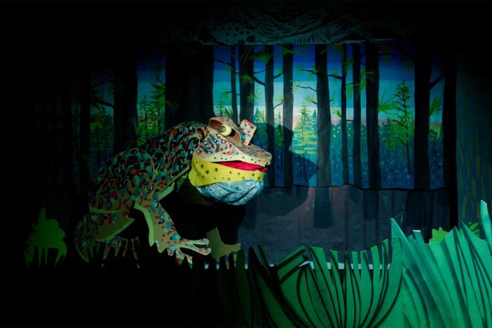 Animal Facts Club Presents - Endangered Rituals: asset-mezzanine-16x9