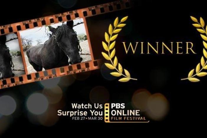 2012 Festival Winner | Horse You See: asset-mezzanine-16x9