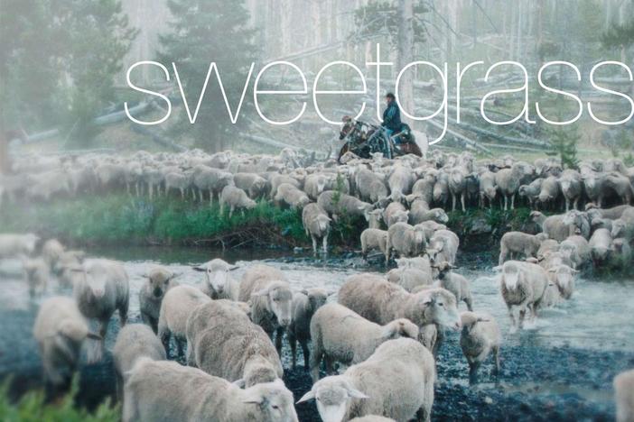 Sweetgrass: asset-mezzanine-16x9