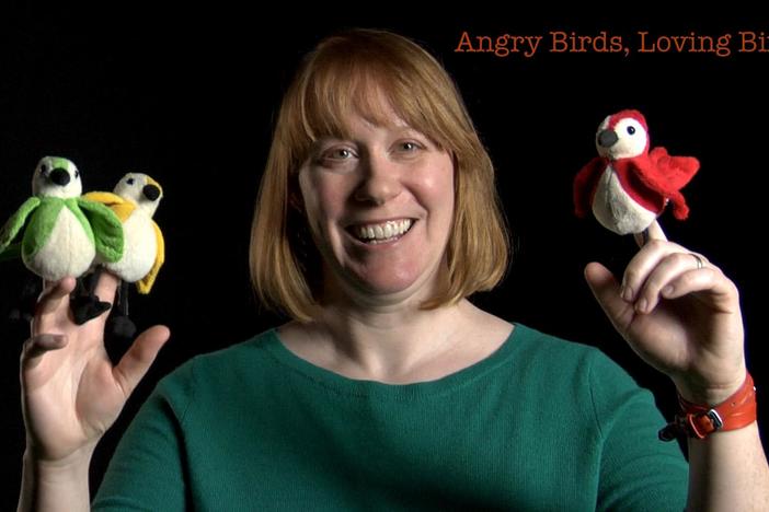 Danielle Whittaker: Angry Birds, Loving Birds: asset-mezzanine-16x9