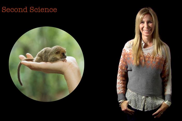 30 Second Science: Mireya Mayor: asset-mezzanine-16x9