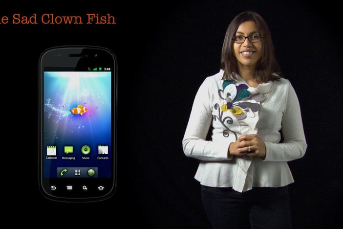 Tanzeem Choudhury: The Sad Clown Fish: asset-mezzanine-16x9