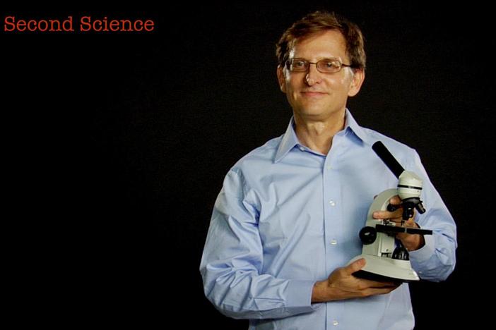 30 Second Science: Ian Lipkin: asset-mezzanine-16x9