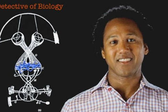 Andre Fenton: Detective of Biology: asset-mezzanine-16x9