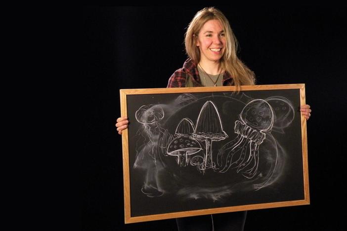 Caryn Babaian: Biology Teacher: asset-mezzanine-16x9