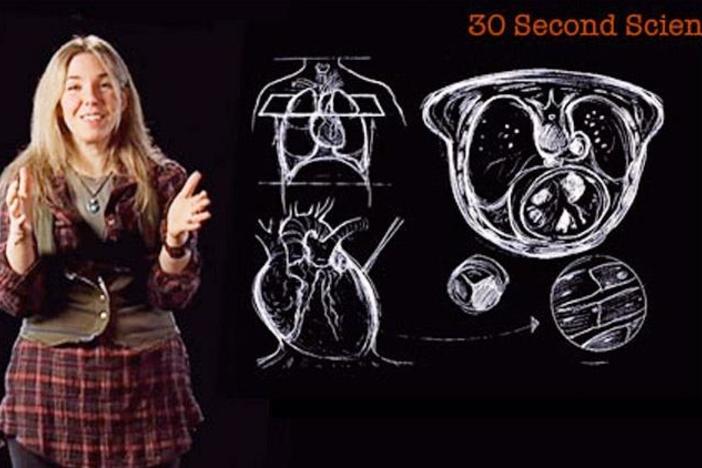 Caryn Babaian: 30 Second Science: asset-mezzanine-16x9