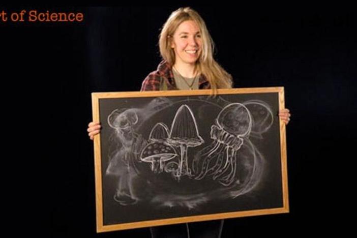 Caryn Babaian: The Art of Science: asset-mezzanine-16x9