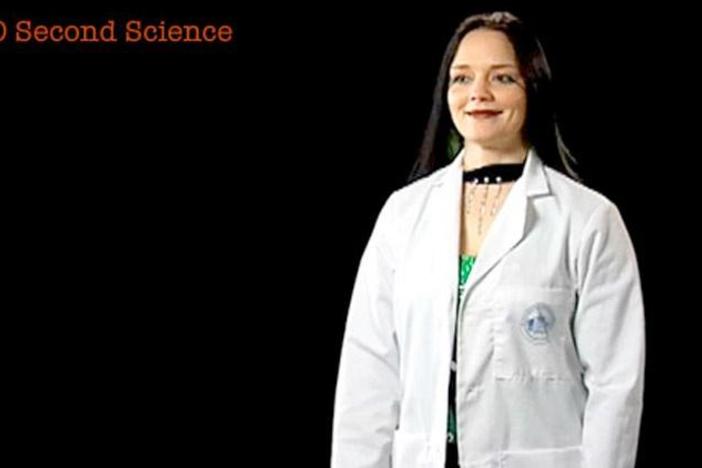 Rachel Collins: 30 Second Science: asset-mezzanine-16x9