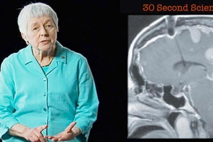 Jean Berko Gleason: 30 Second Science: asset-mezzanine-16x9