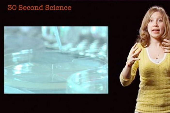Mollie Woodworth: 30 Second Science: asset-mezzanine-16x9