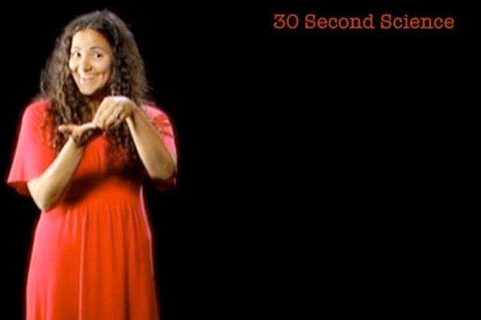 Laurie Santos: 30 Second Science: asset-mezzanine-16x9