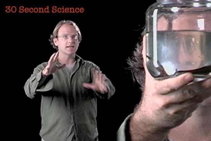 Mark Siddall: 30 Second Science: asset-mezzanine-16x9
