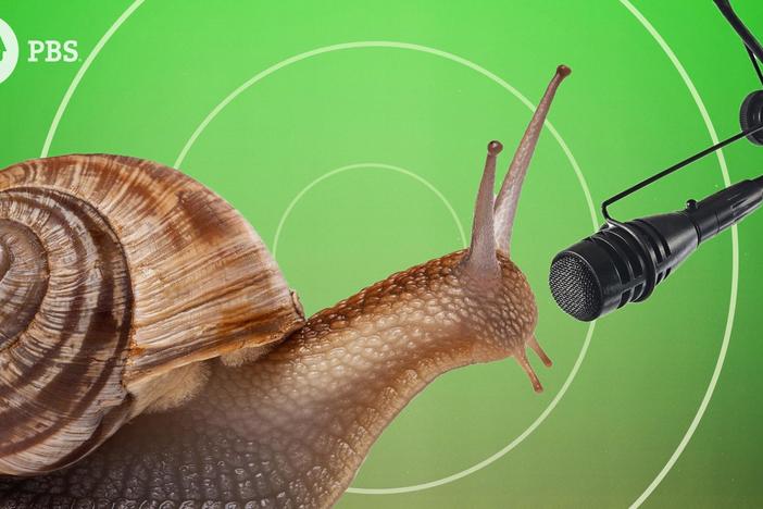 Music from the Golden Ratio and Fibonacci Sequence: asset-mezzanine-16x9