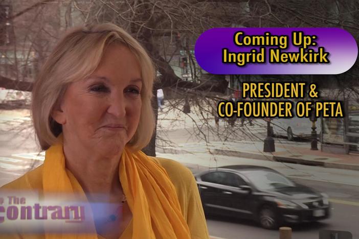 Woman Thought Leader: Ingrid Newkirk: asset-mezzanine-16x9